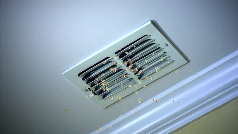 Best Affordable HVAC Duct Cleaning  in Brentwood, NY